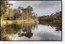Oisterwijkse Bossen en Vennen Kampina natuurgebied natuur oisterwijk Nationaal park Landschap Het Groene Woud hei heide bossen natuurmonumenten brabant baronie boswachterij dorst